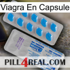 Viagra Capsule new15